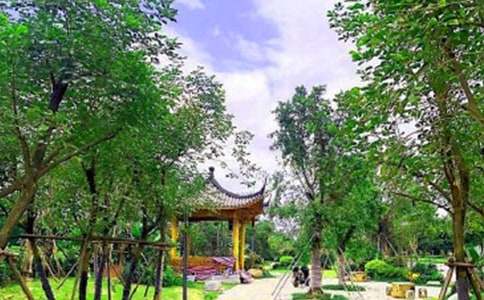 公园四季作文-小麦知识