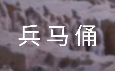 秦始皇兵马俑作文300字-小麦知识