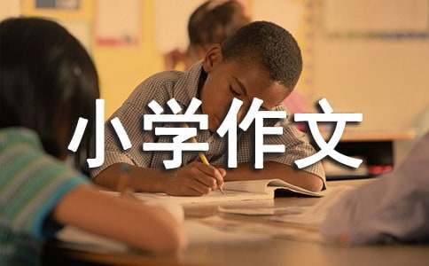 定格小学作文-小麦知识