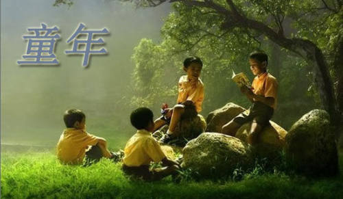 童年故乡作文-小麦知识