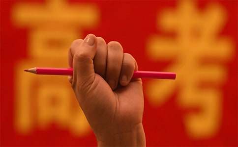 2022年高考作文-小麦知识