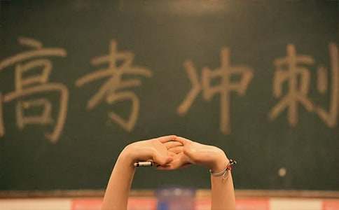 2022年天津卷高考作文-小麦知识