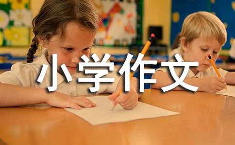 我的课余生活小学作文-小麦知识