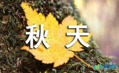 三年级秋天的景色作文300字-小麦知识