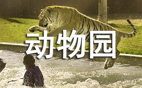 游济南动物园作文-小麦知识