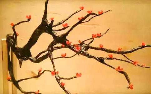 梅花观察日记-小麦知识