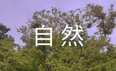 大自然给人类的启示作文-小麦知识