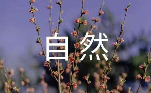 大自然给人类的启示的作文-小麦知识