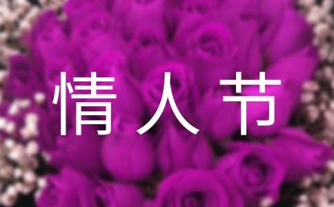 情人节随笔-3000字