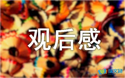 小英雄雨来观后感-小麦知识
