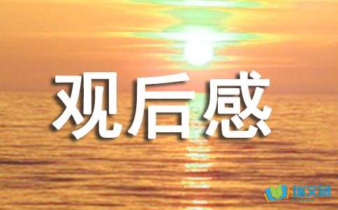 隐形的翅膀观后感800字-小麦知识