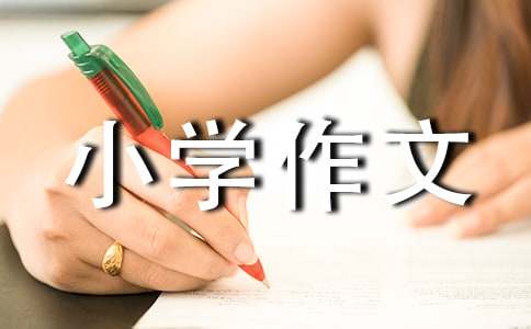 走进音响世界小学作文-小麦知识