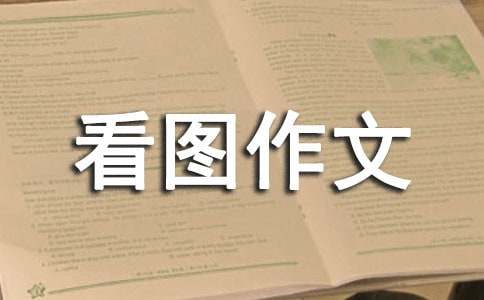 六年级上册第七单元看图作文：小鸭子得救了-小麦知识