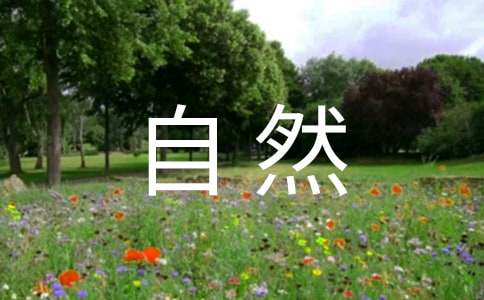 感受自然七年级作文700字-小麦知识