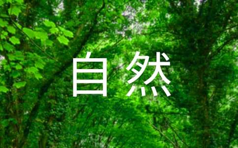 感受自然七年级作文-小麦知识