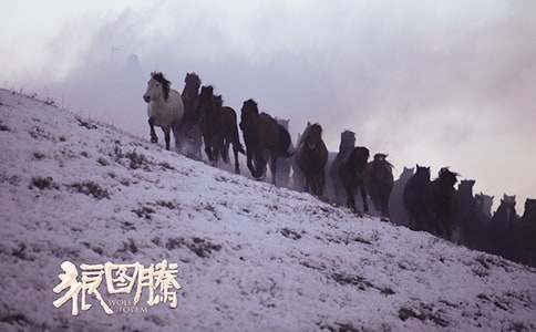 狼图腾小说读后感-小麦知识