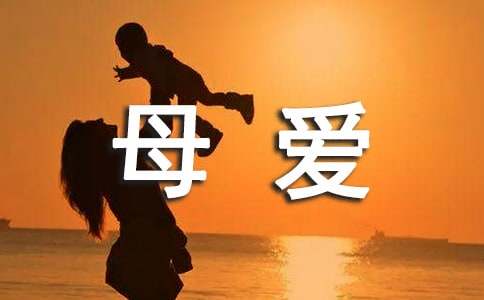 母爱的感受作文-小麦知识