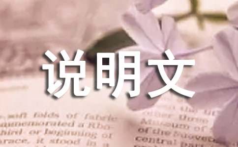 说明文的作文-小麦知识