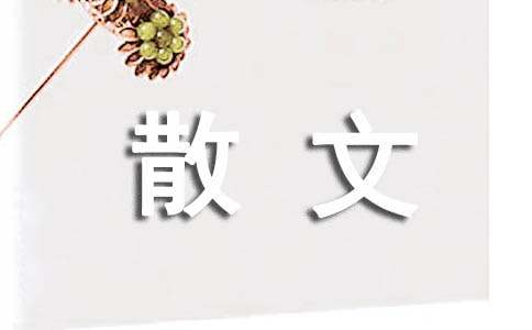 短篇散文-小麦知识