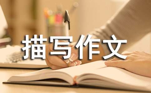 秋雨的描写作文100字经典范文-小麦知识