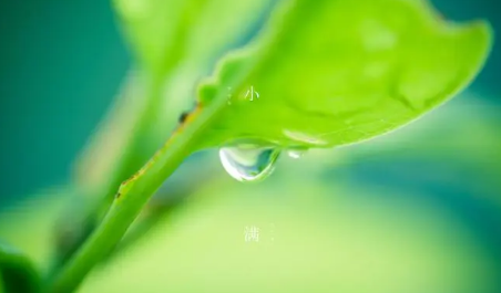 今日小满下雨好还是晴天好2023 小满下雨有什么禁忌-小麦知识