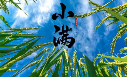 今日小满下雨好还是晴天好2023 小满下雨有什么禁忌-小麦知识