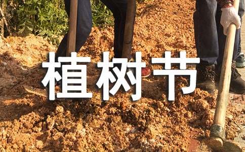 植树节,心里的那颗绿树作文1200字经典范文-小麦知识