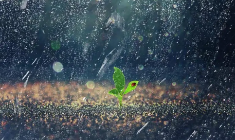 2023青岛五月份是不是雨季 青岛的雨季是什么时候-小麦知识