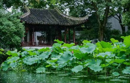 2023年苏州夏天一般多少度 苏州夏天温度最高的是多少度-小麦知识