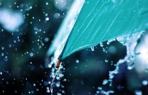 2023年上海梅雨季节几月份到几月份 上海梅雨季节在几月份开始-小麦知识