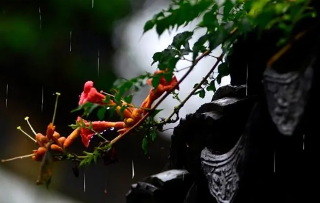2023年上海梅雨季节有多少天 上海黄梅天一般持续多久-小麦知识