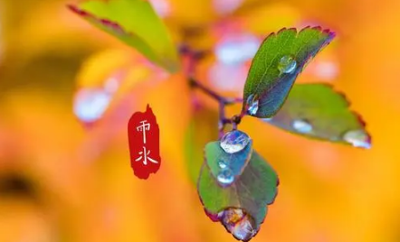 2023年秋季雨水多还是雨水少 秋天是比较容易下雨的吗-小麦知识