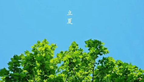 2023立夏是不是夜短天长 为什么立夏白天比黑夜长-小麦知识