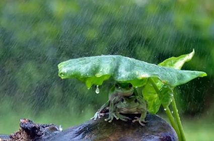 2023年重庆梅雨季节什么时候开始什么时候结束 重庆梅雨季节持续多久-小麦知识