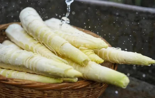 春笋冷冻一年还能吃吗 春笋冷冻一年会坏吗-小麦知识