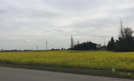 2023年五一去成都热不热 五一去成都天气怎么样-小麦知识