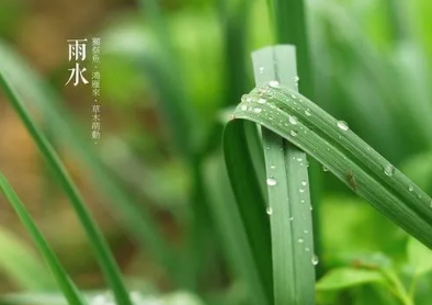 2023谷雨前后雨水多吗 谷雨还会倒春寒吗-小麦知识