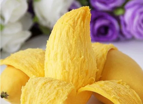 芒果带丝好还是不带丝好 芒果带丝和不带丝有什么区别-小麦知识