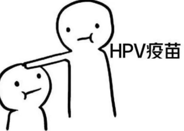 hpv疫苗建议接种人群有哪些 九价疫苗三针间隔时间多久-小麦知识