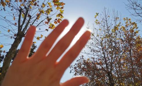 霉菌性阴炎太阳晒能杀死吗 霉菌性阴炎拖延的后果-小麦知识