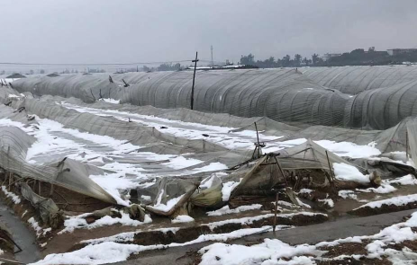 雪灾需要提前准备什么物资 雪灾安全自救措施-小麦知识