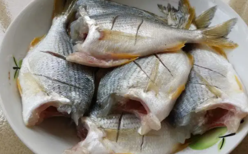生腌海鱼并不比生腌淡水鱼更安全吗 市场上腌制的海鱼是什么鱼-小麦知识