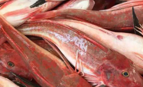 生腌海鱼并不比生腌淡水鱼更安全吗 市场上腌制的海鱼是什么鱼-小麦知识