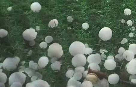 冰雹能把车砸出坑吗 冰雹把车砸出坑怎么修复-小麦知识