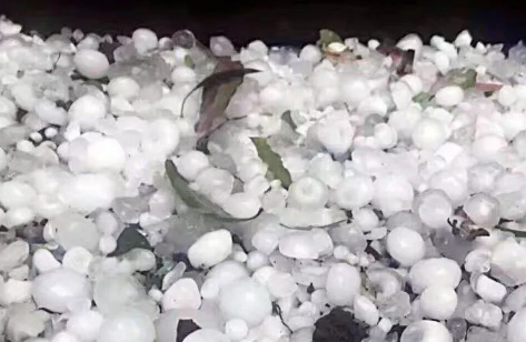 冰雹天车停在树下可挡冰雹吗 下冰雹车停树下安全吗-小麦知识