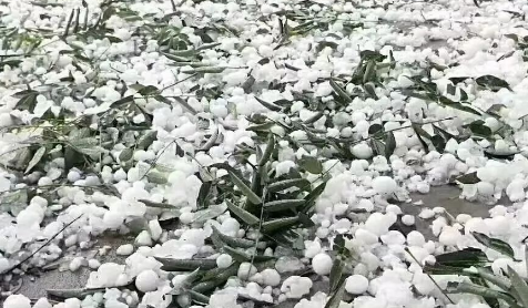 冰雹天车停在树下可挡冰雹吗 下冰雹车停树下安全吗-小麦知识