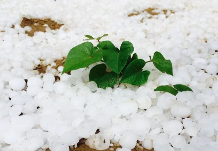 下冰雹能上高速吗 在高速上突然下冰雹怎么办-小麦知识