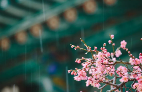 雨水节气几点到2023 雨水节气什么时候结束-小麦知识