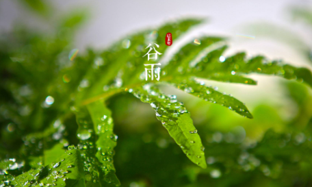 谷雨几点几分出来2023 哪年谷雨是4月21号-小麦知识