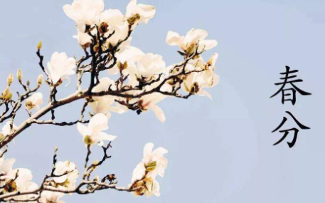 春分几点几分几秒2023 2023节气春分对应的日期是哪一天-小麦知识